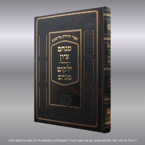 מנחם ציון